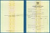Увеличить Стоимость Свидетельства о Повышении Квалификации 1997-2018 г. в Аргуне (Республика Чечня)