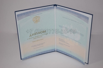 Диплом Техникума 2018г СпецБланк в Грозном
